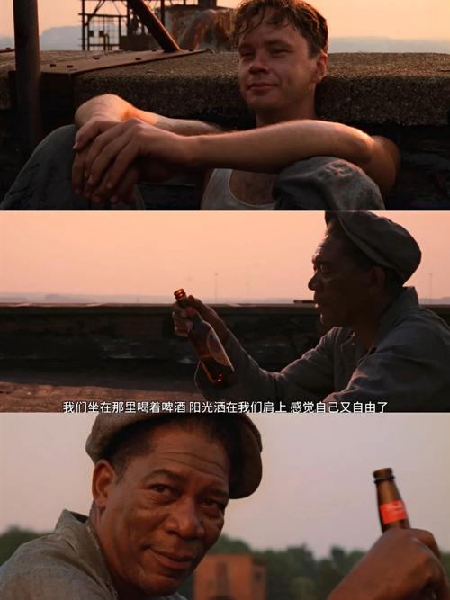 28电影-影视采集-视频资源
