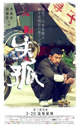 失孤电影下载-打拐-原型故事-刘德华