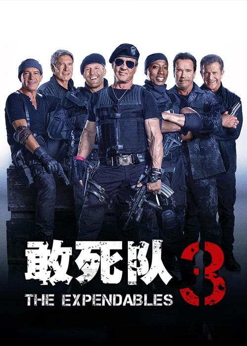 敢死队3 电影-动作-老牌特工