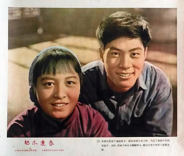 枯木逢春电影-苦尽甘来-新生希望-命运转折
