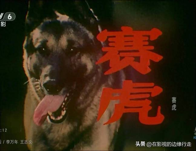 赛虎-忠犬-救主