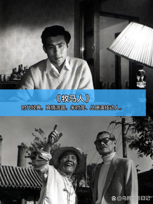 谢晋电影-现实主义-历史反思-人性关怀