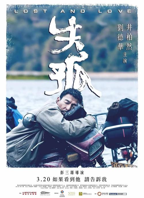 失孤电影下载-打拐-原型故事-刘德华