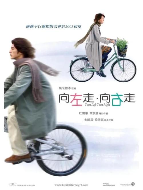 向左走向右走电影下载-向左走向右走高清下载-向左走向右走电影完整版