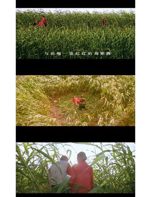 红高粱电影下载-张艺谋-巩俐-莫言