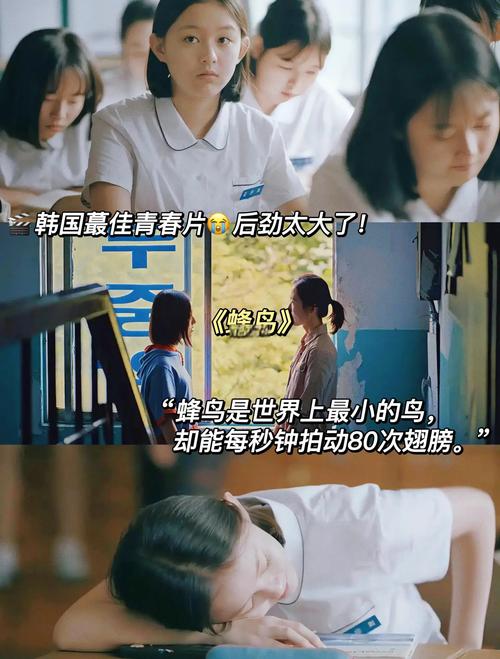 韩国电影 青春-残酷物语-成长代价