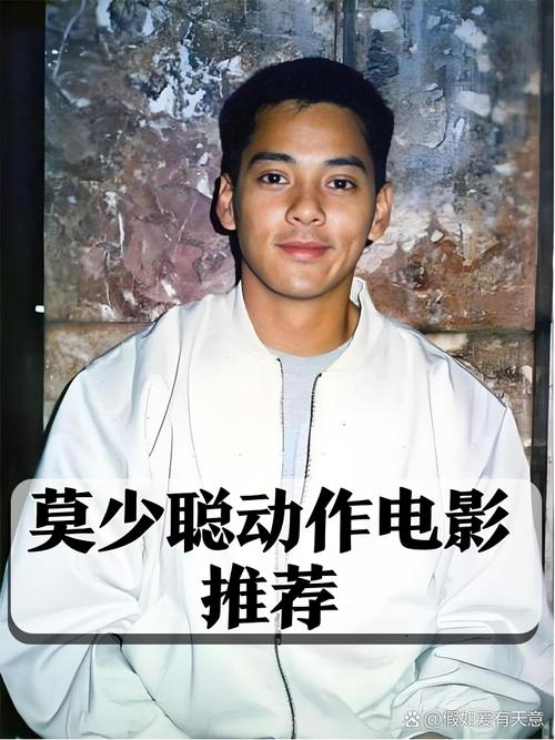 莫少聪电影全集-香港动作片-武侠功夫