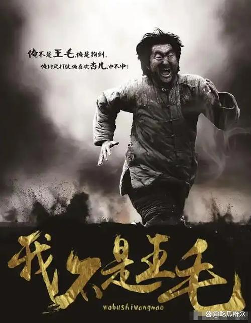 我不是王毛 电影-喜剧-抗战-小人物