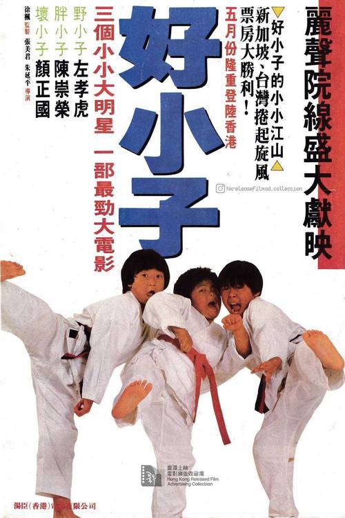 好小子电影-童年回忆-动作喜剧