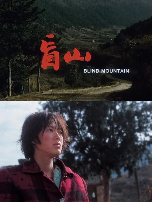 电影盲山-人口拐卖-乡村困境