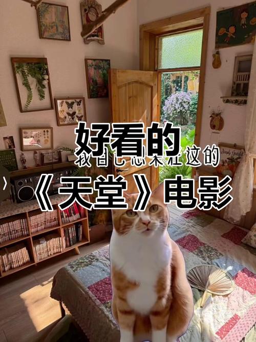 电影天堂tv-电影天堂-最新电影下载