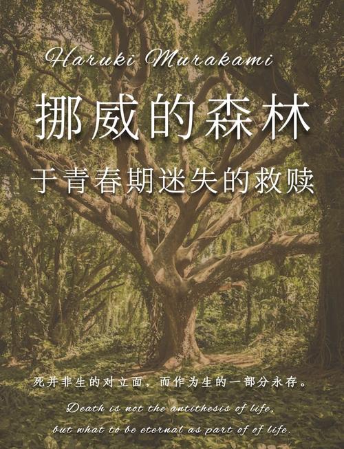 挪威的森林 电影-村上春树-渡边彻