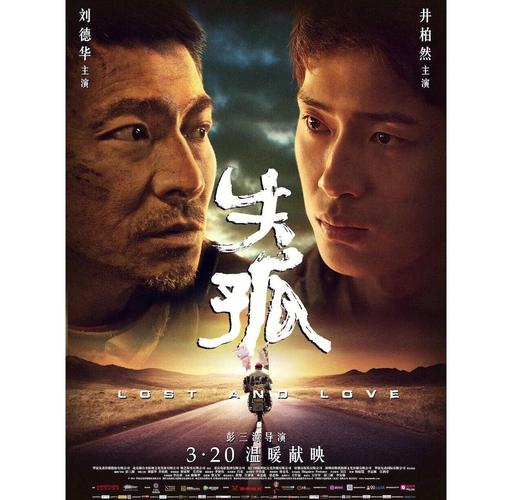 失孤电影下载-打拐-原型故事-刘德华