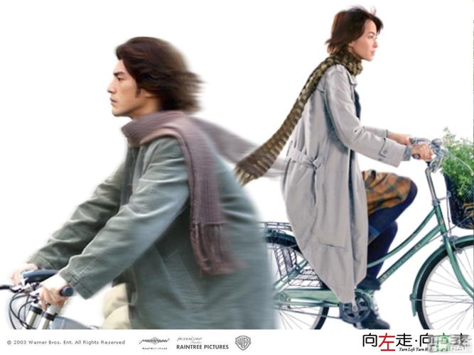 向左走向右走电影下载-向左走向右走高清下载-向左走向右走电影完整版