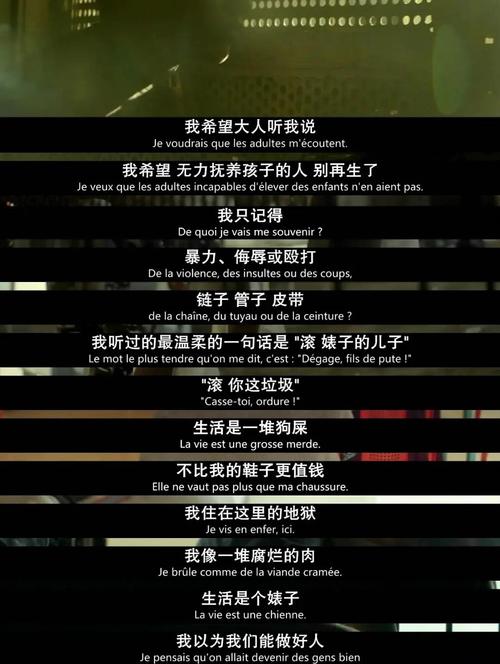 何以为家电影简介-黎巴嫩难民-儿童权益