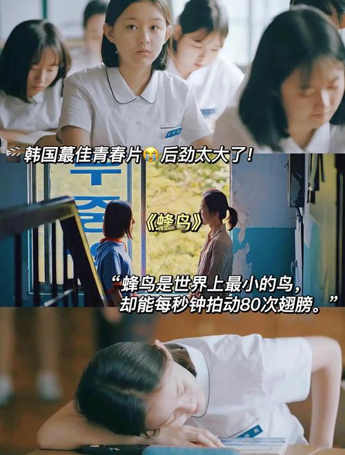 韩国电影 青春-残酷物语-成长代价