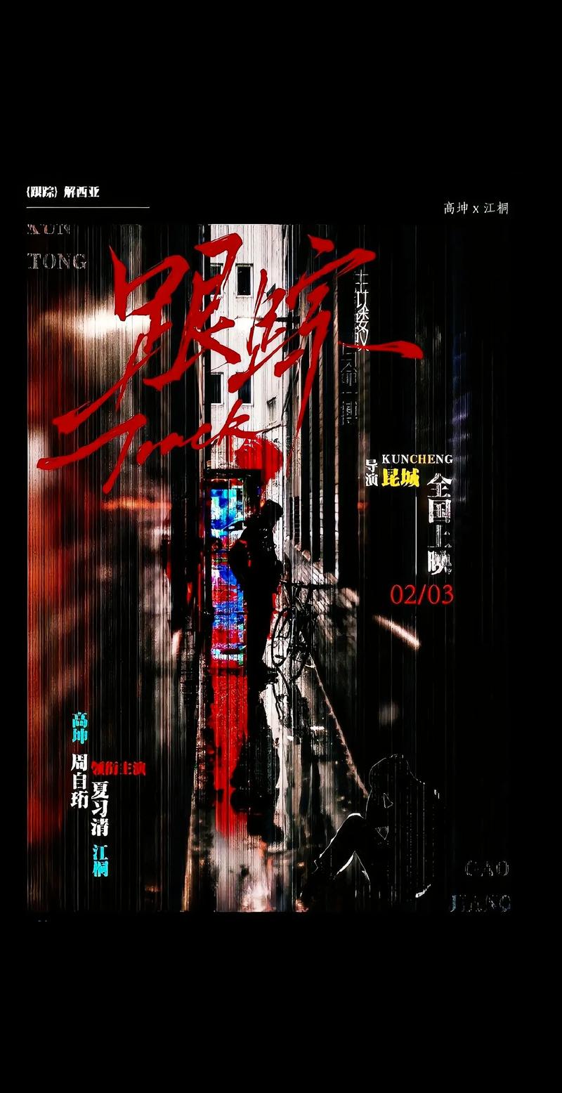跟踪电影-监视-悬疑