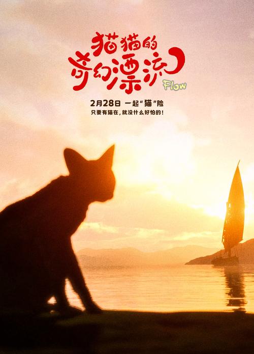 去大猫电影网-大猫电影网-电影在线观看
