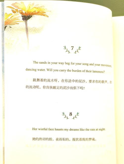 飞鸟电影-在线观看-最新电影