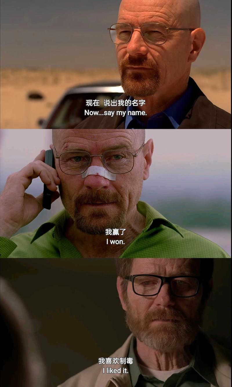 绝命毒师电影-续命之徒-杰西·平克曼-图可·萨拉曼卡